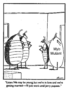 pupael4