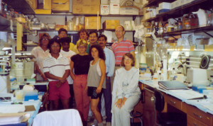 firstlab